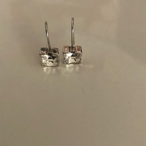 Drop Small Earrings in Silver